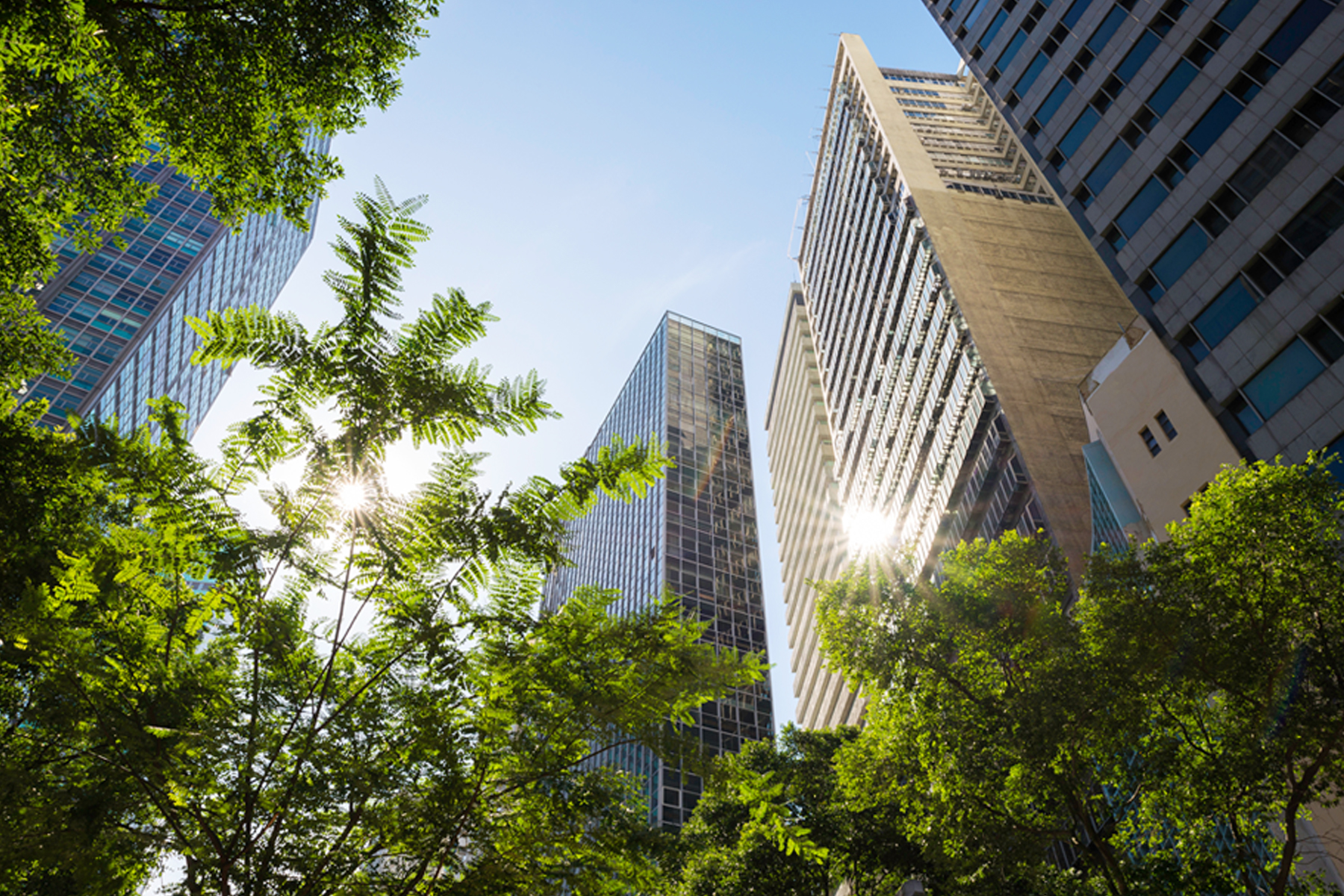 An Impact-Based Approach to Responsible AI hero image