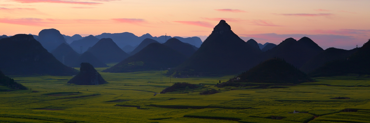 Reflecting on Three Years of Green Farmer Training in China hero image