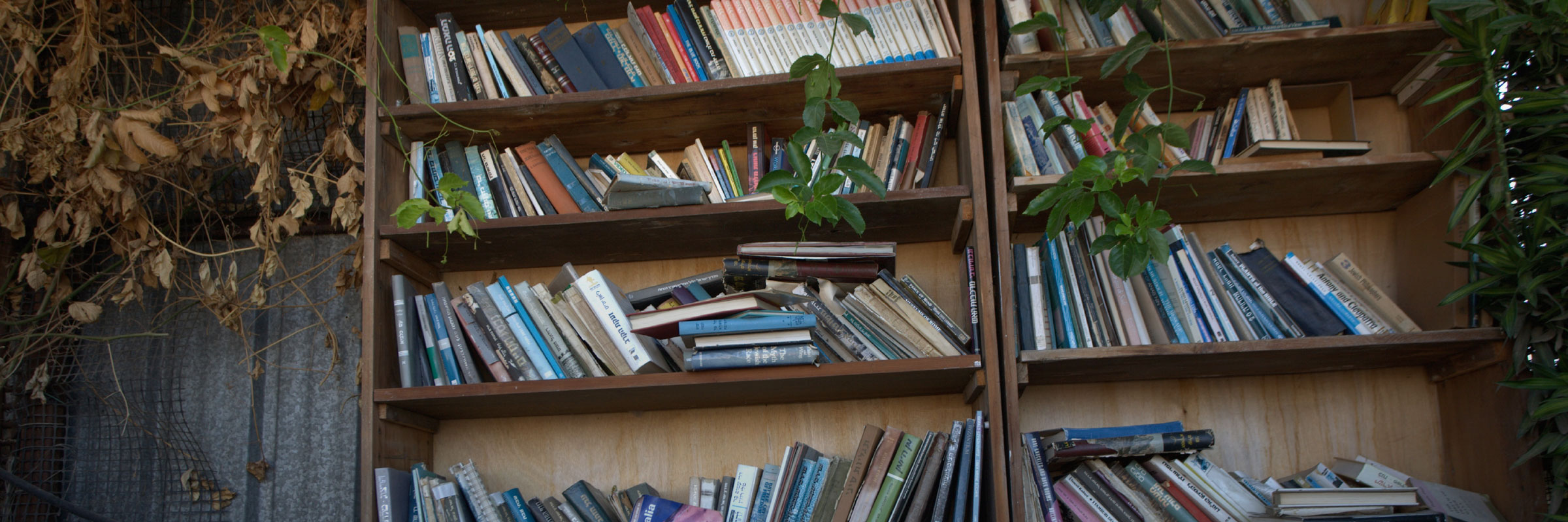 Is Reporting Bloated, Burdensome, and Broken? hero image