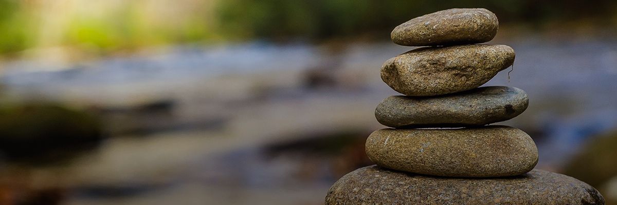 Sustainability and Corporate Philanthropy: Un-Blurring the Lines hero image