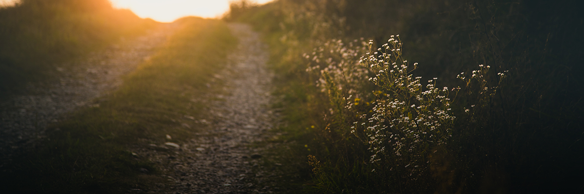 Science-Based Climate Targets Are a Window into the Future hero image