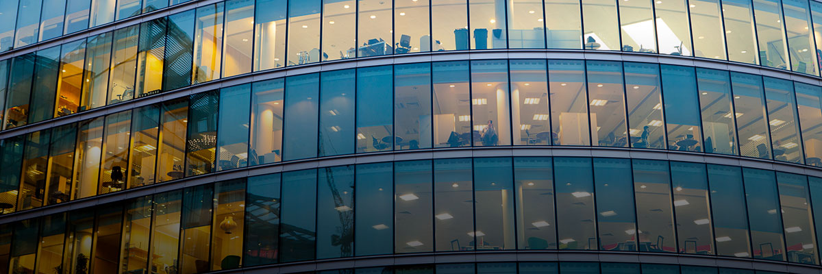 Business and Human Rights Consultation Meeting on Country-Specific Action Plans (Japanese) hero image