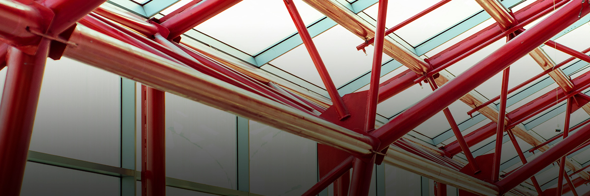 Reflections on the BSR Member Spotlight Series: A Conversation with BSR Vice President Laura Gitman hero image