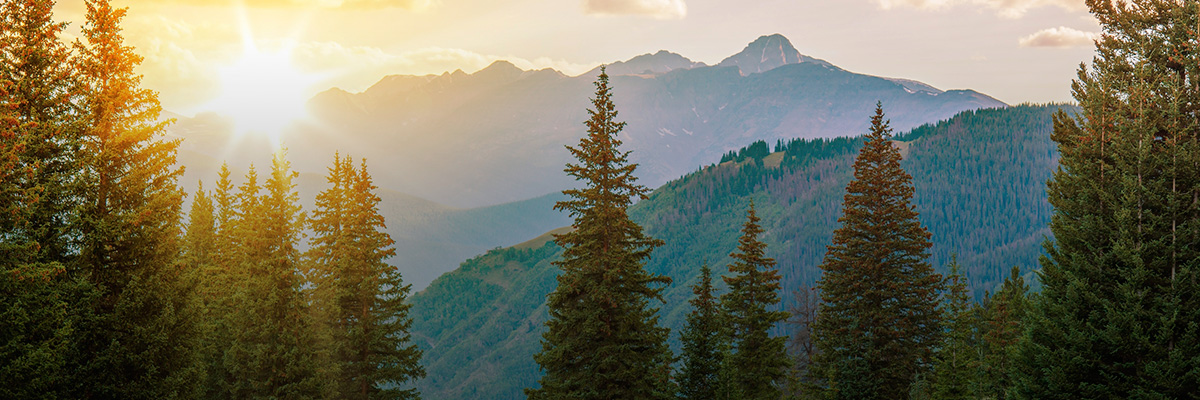 Translating the Climate Agreement into Business Strategies: BSR’s Four-Part Methodology hero image