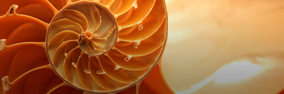 Back to the Basics: The Power of Core Values hero image