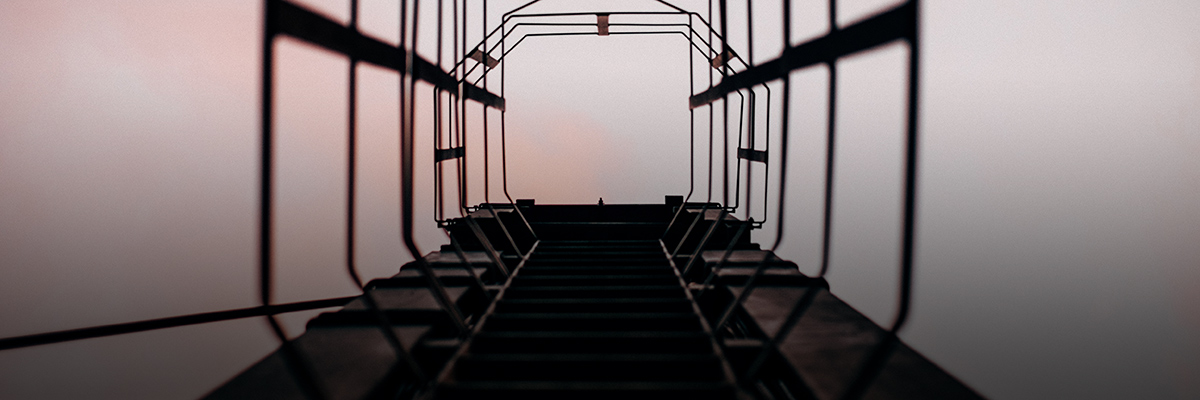 The Supply Chain Leadership Ladder hero image