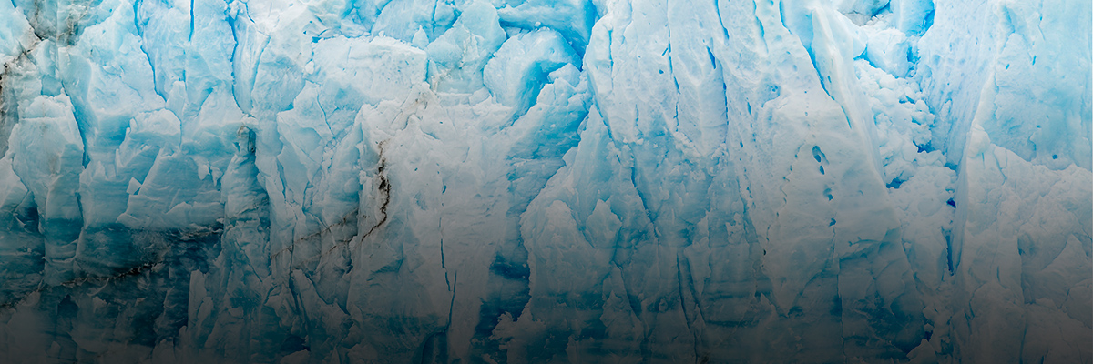 Q&A: The Future of Business Action on Climate Change hero image