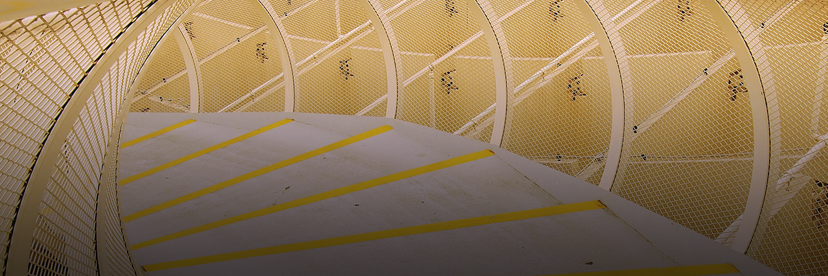 Q&A: The Future of Supply Chain Sustainability hero image