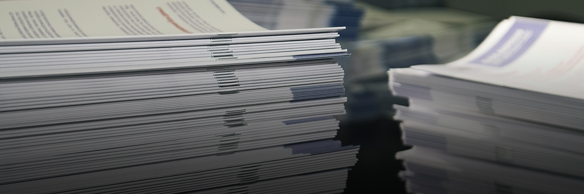 Calling All Sustainability Reporting Practitioners hero image