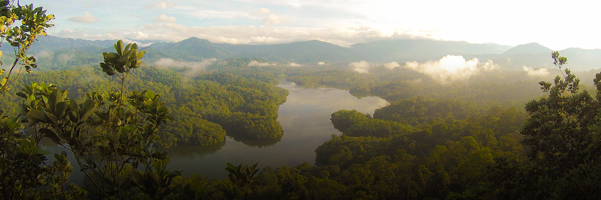 Are You Measuring Your Company’s Full Value Creation? hero image