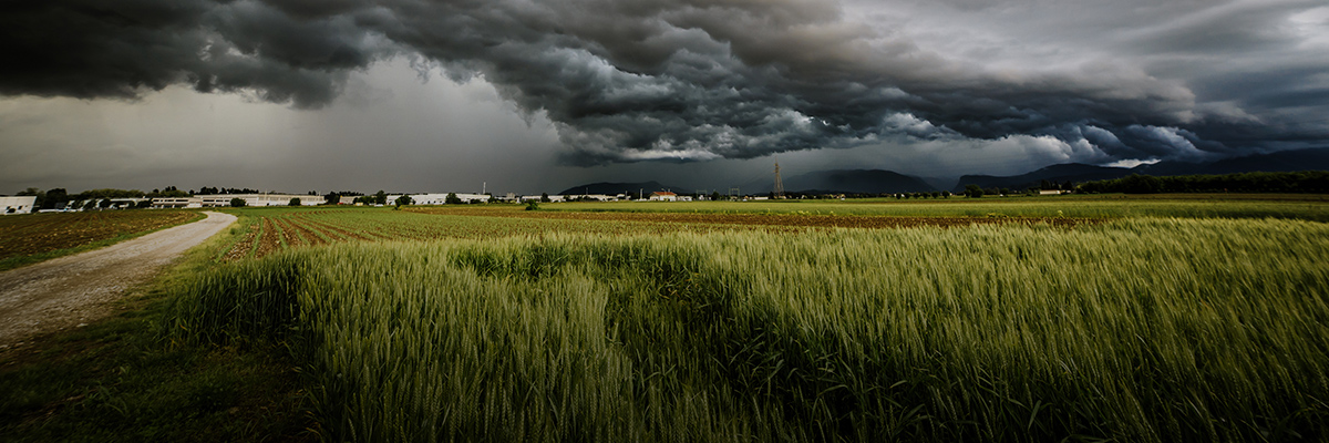 Investors, Consumers, and Markets Demand Climate Action: Four Trends for Your Business to Know hero image