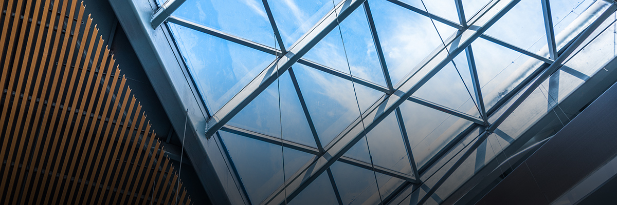 Q&A: The Future of Business and Human Rights hero image