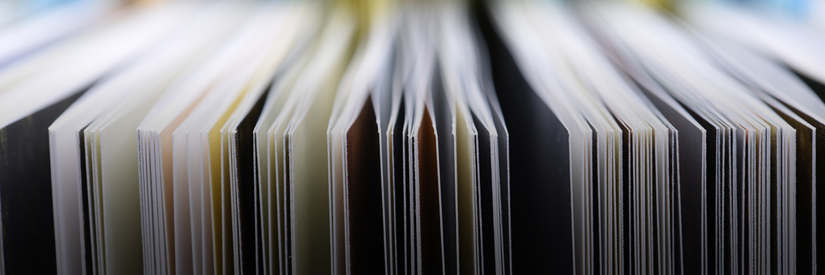 A Practitioner’s View of Sustainability Reporting: Challenges and Solutions hero image