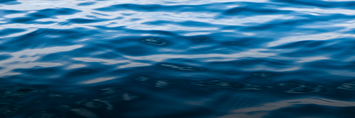 Managing Supply Chain Water Risk: New Capacities for New Challenges hero image