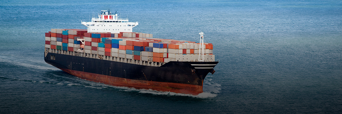 Sustainability Management for a Rapidly Changing World: Q&A with Maersk Group’s Annette Stube hero image