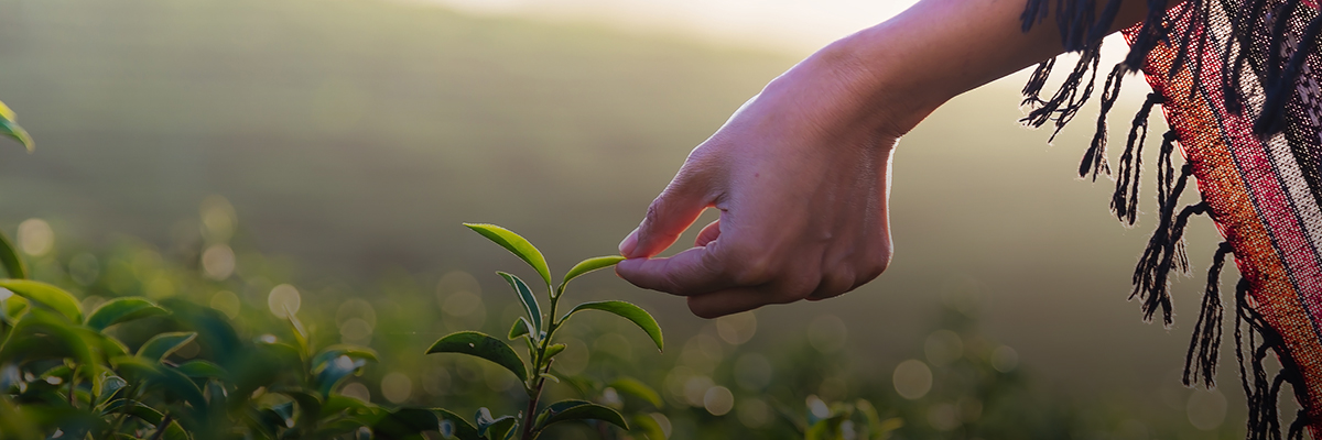 Sustainability Standards Driving Impact for Women in Global Supply Chains hero image