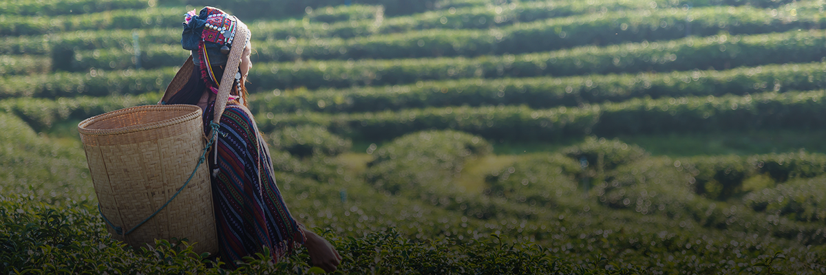 To Advance Gender Equality, We Need to Tackle Climate Change hero image