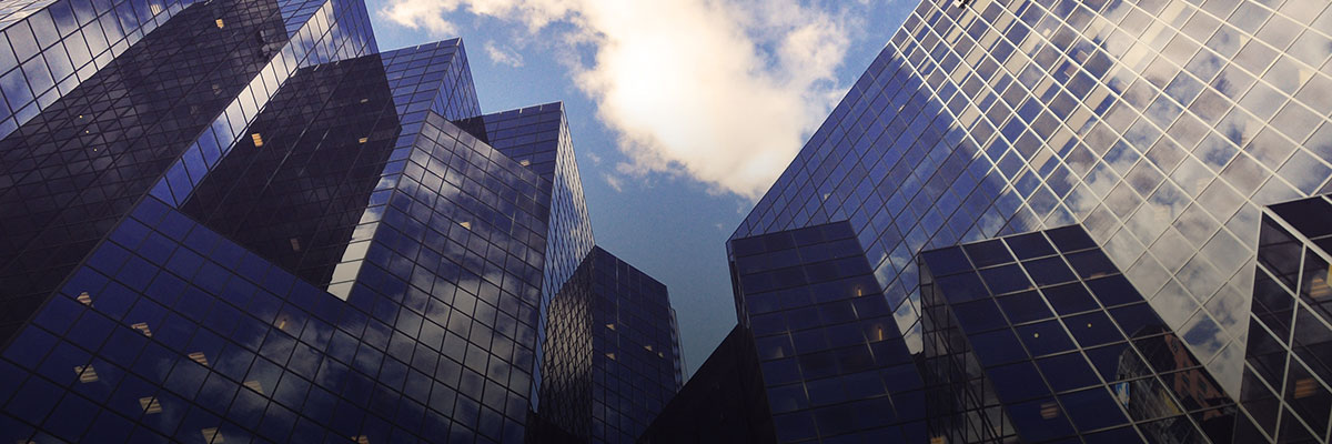 Human Rights Policy Engagement: The Role of Companies hero image