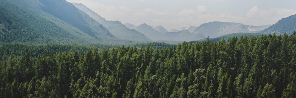 Climate Action in the 2020s: Three Steps to Reducing Value Chain Emissions hero image