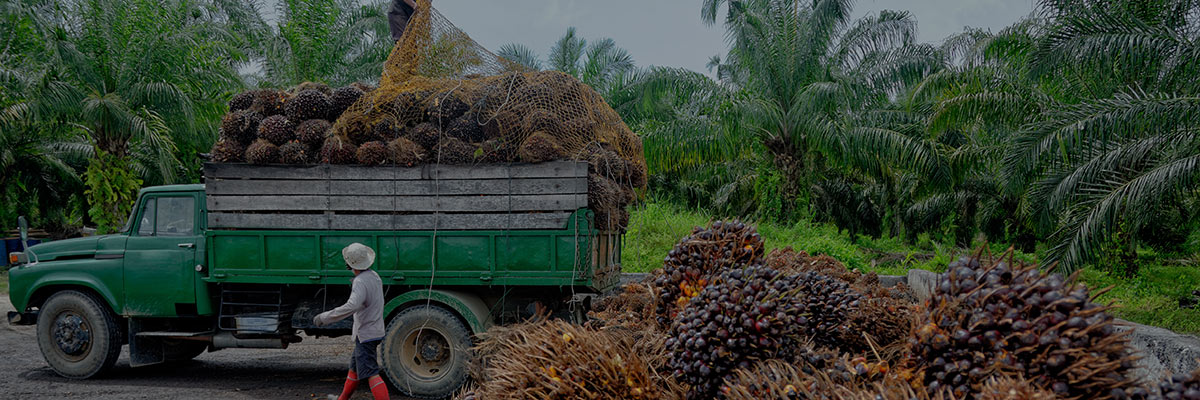 Climate Action in the Value Chain: Reducing Scope 3 Emissions and Achieving Science-Based Targets hero image