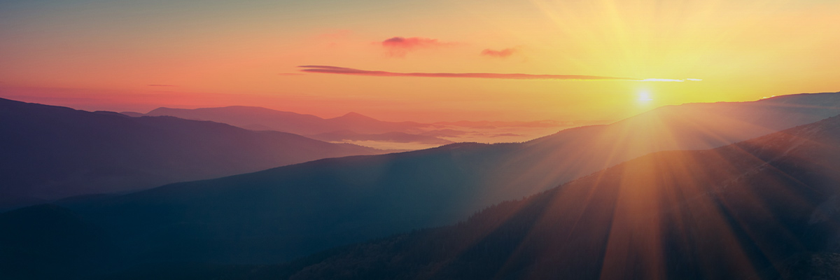 Rising to the Top: Six Big Sustainability Issues Companies Should Watch During COVID-19 hero image