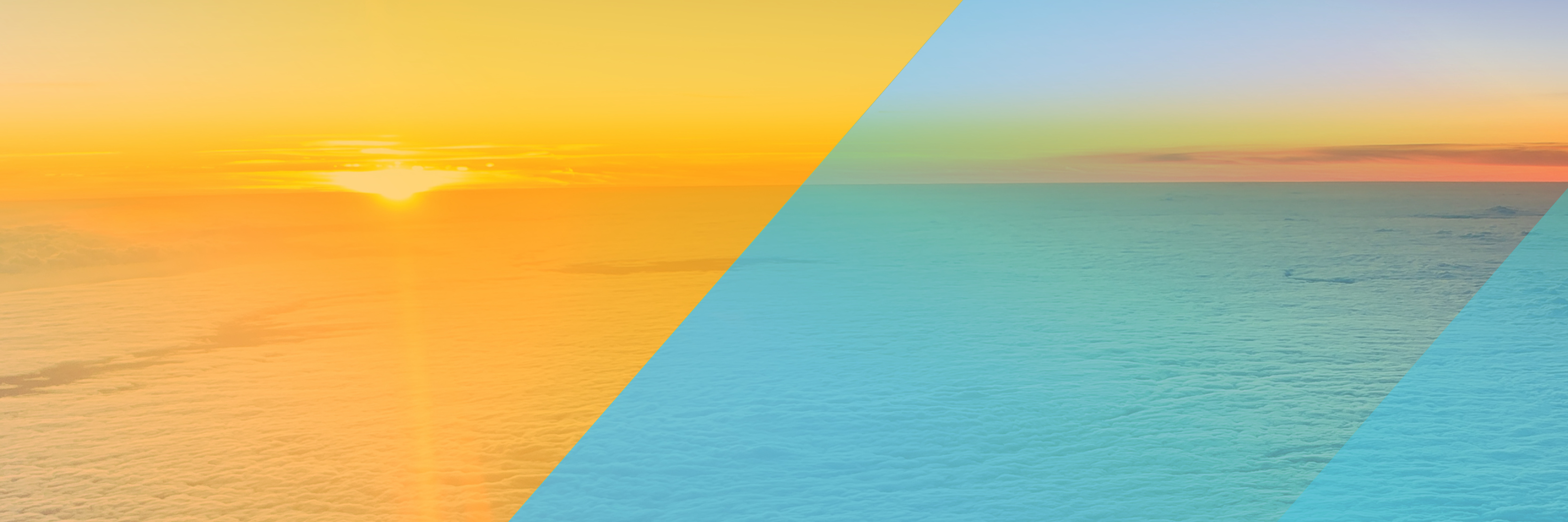 Meet the Moment and Build the Future at the BSR20 Virtual Conference hero image