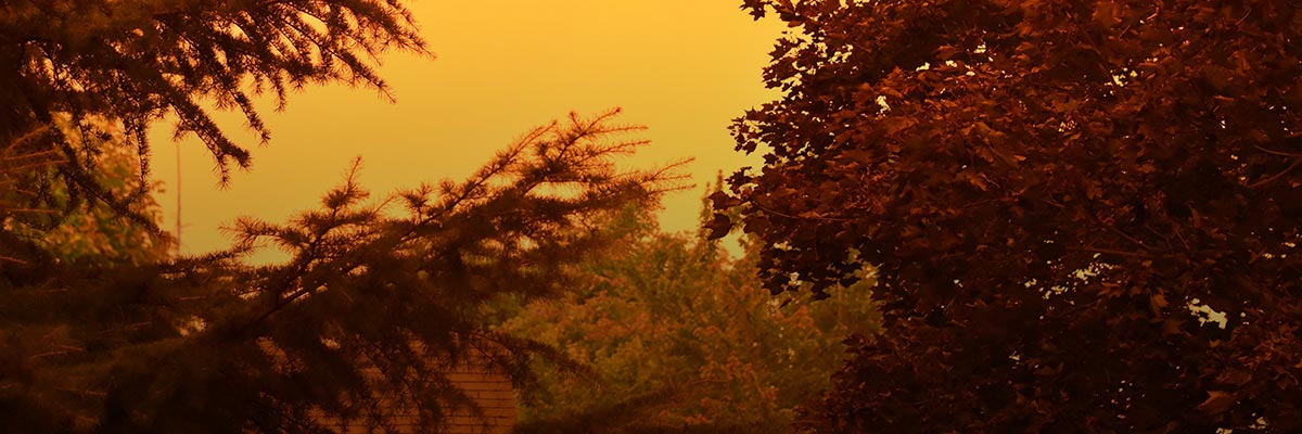 Missing Climate Week, Seeing Climate Refugees hero image