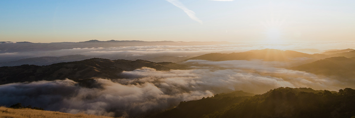 BSR Conference 2020: Coming Together to Meet the Moment and Build the Future hero image