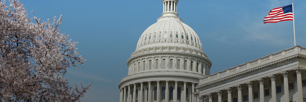 Election 2020: A Test for American Democracy, and A Test for American Business hero image