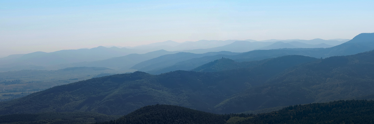 Amid COVID-19, BSR20 Highlighted Action, Collaboration, and Leadership hero image