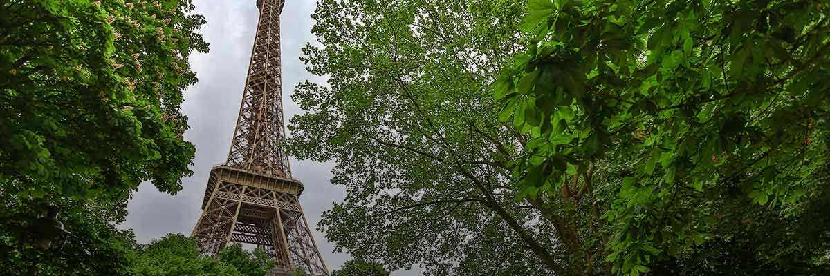 The Paris Agreement’s 5th Anniversary: Accelerating the Momentum for Net Zero hero image