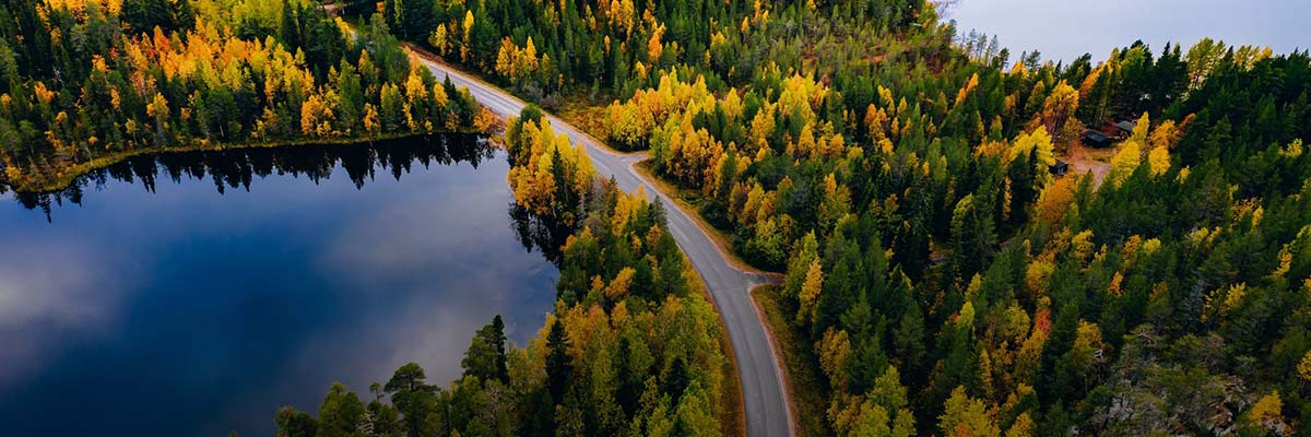 Transforming Business for Resilience hero image