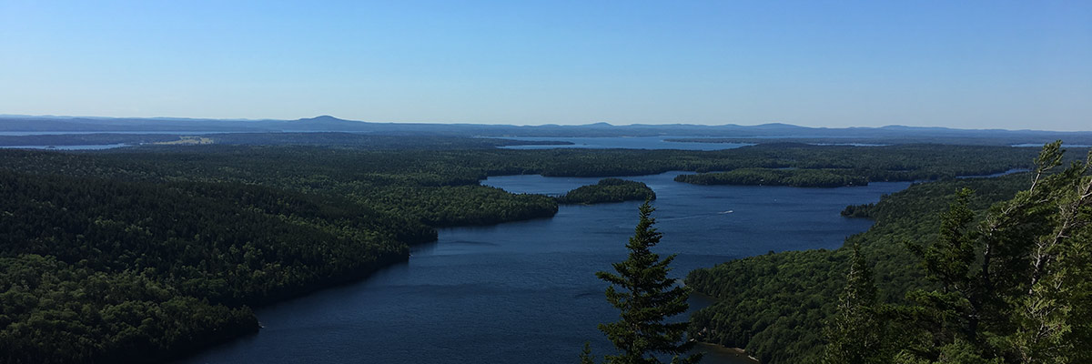 The Case for SEC-Mandated Climate and ESG Disclosure hero image