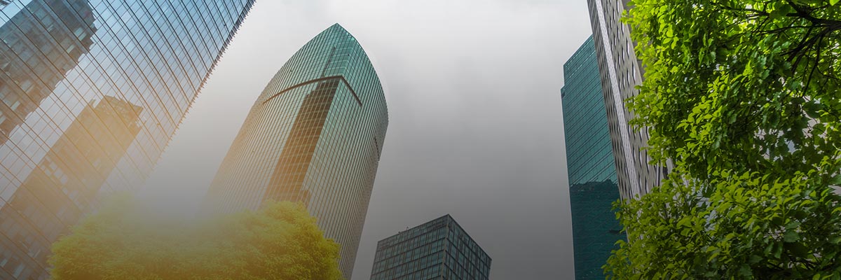 What Companies Need to Know about the International Financial Reporting Standards Foundation hero image