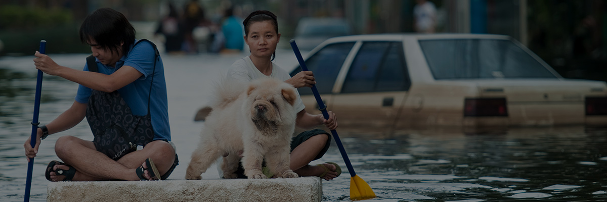 Climate Change: Building Resilience While Protecting Human Rights hero image