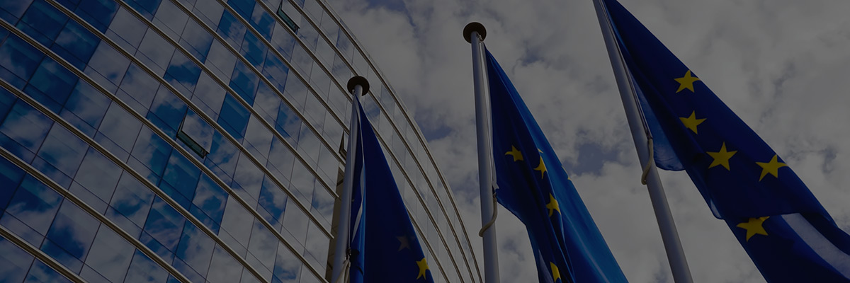 Corporate Sustainability Due Diligence Directive: Seven Recommendations for Business hero image