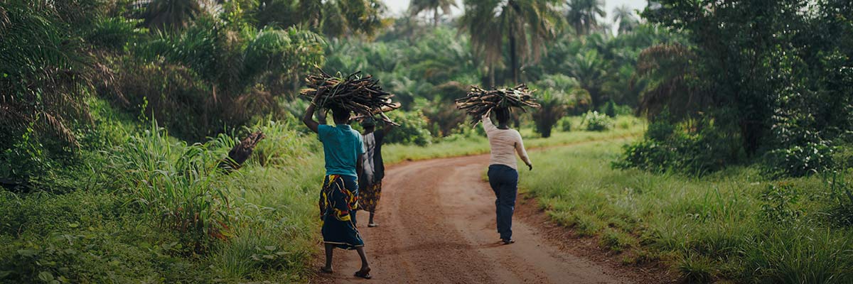 Calling for Action on Climate Justice at COP27 hero image