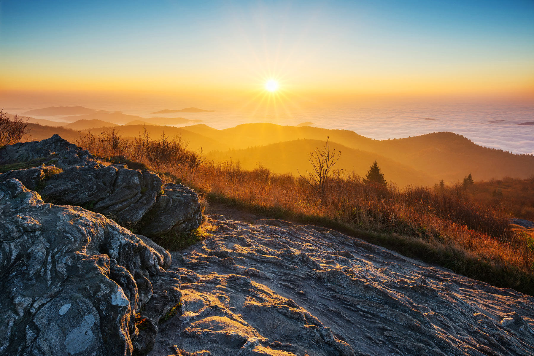 2023: Delivering Just and Sustainable Business Amidst Polycrisis hero image