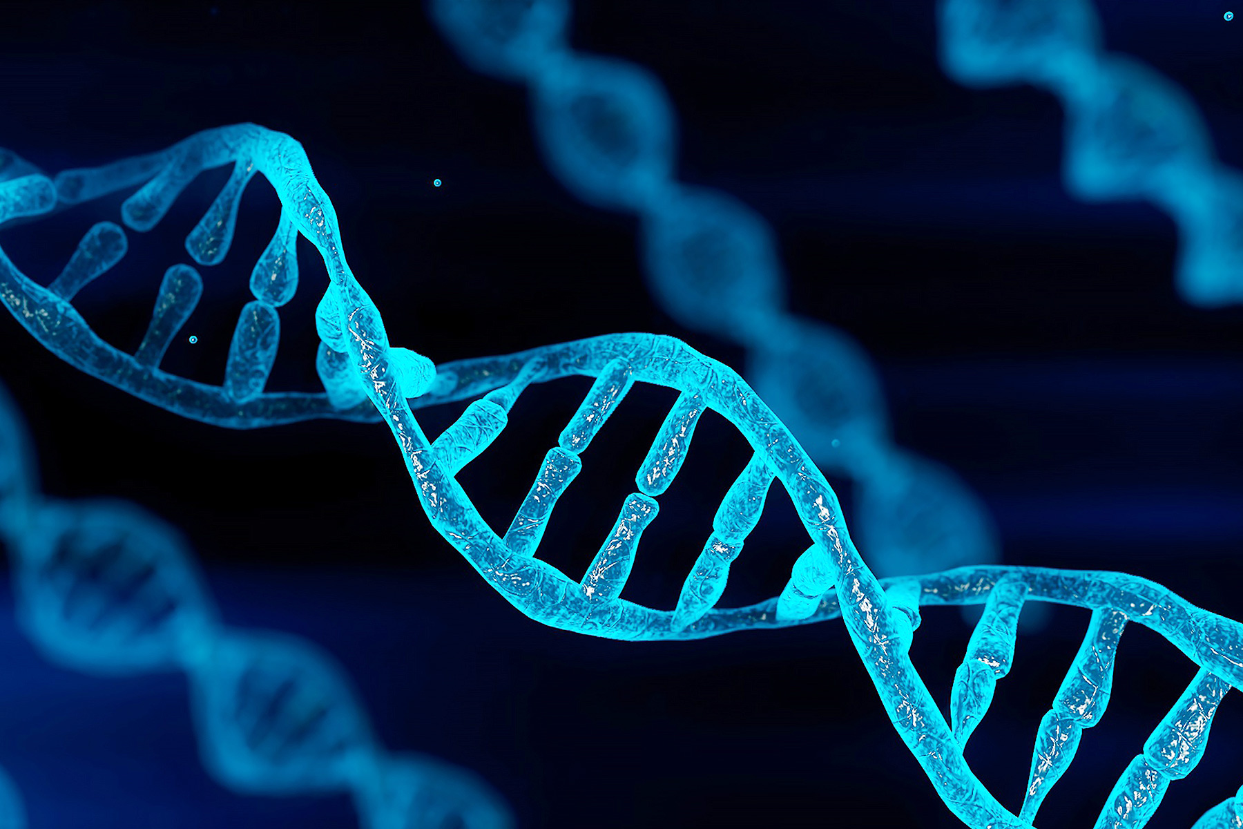 Healthcare Working Group: Driving Change for over Two Decades hero image