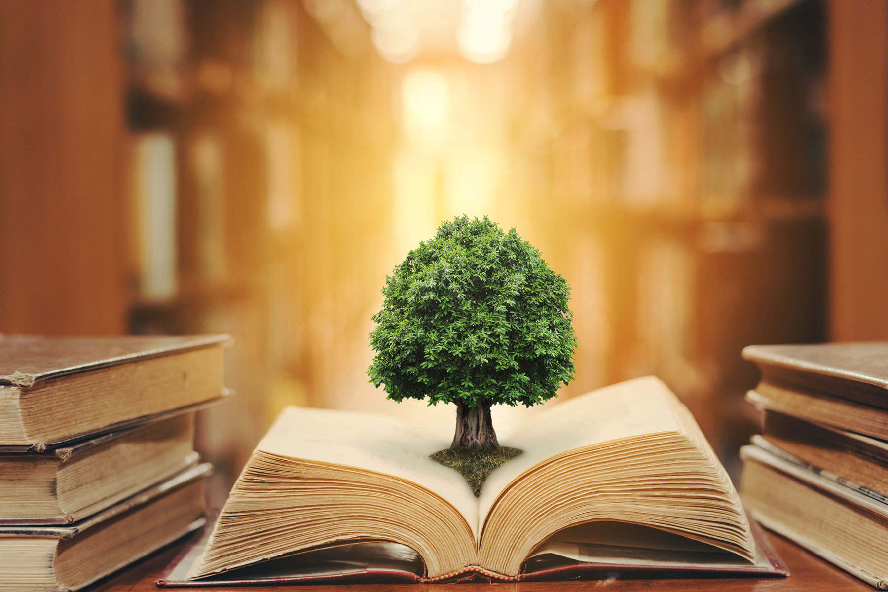 Laws and Regulations for Just and Sustainable Business hero image