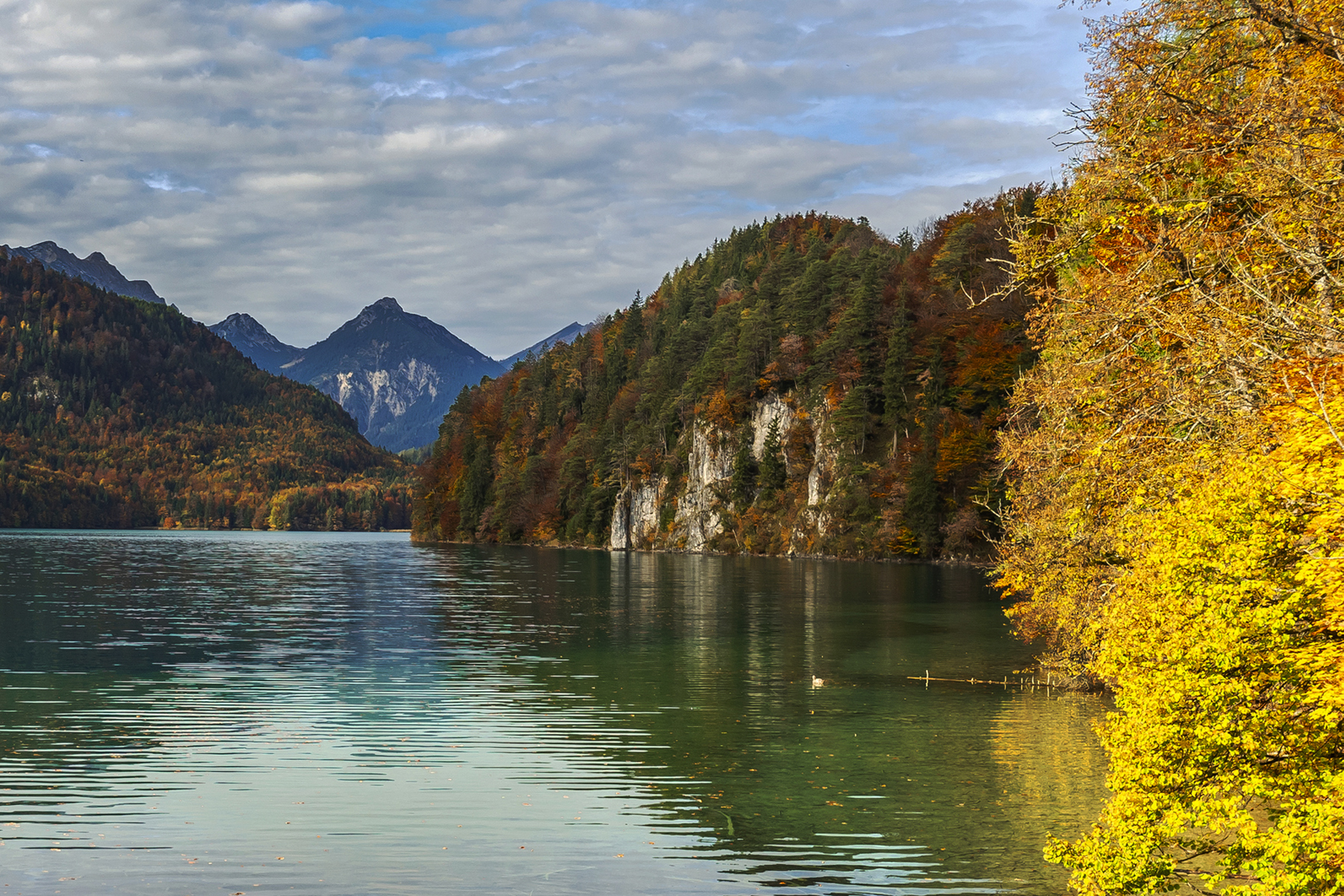 Making Connections Across Professions hero image