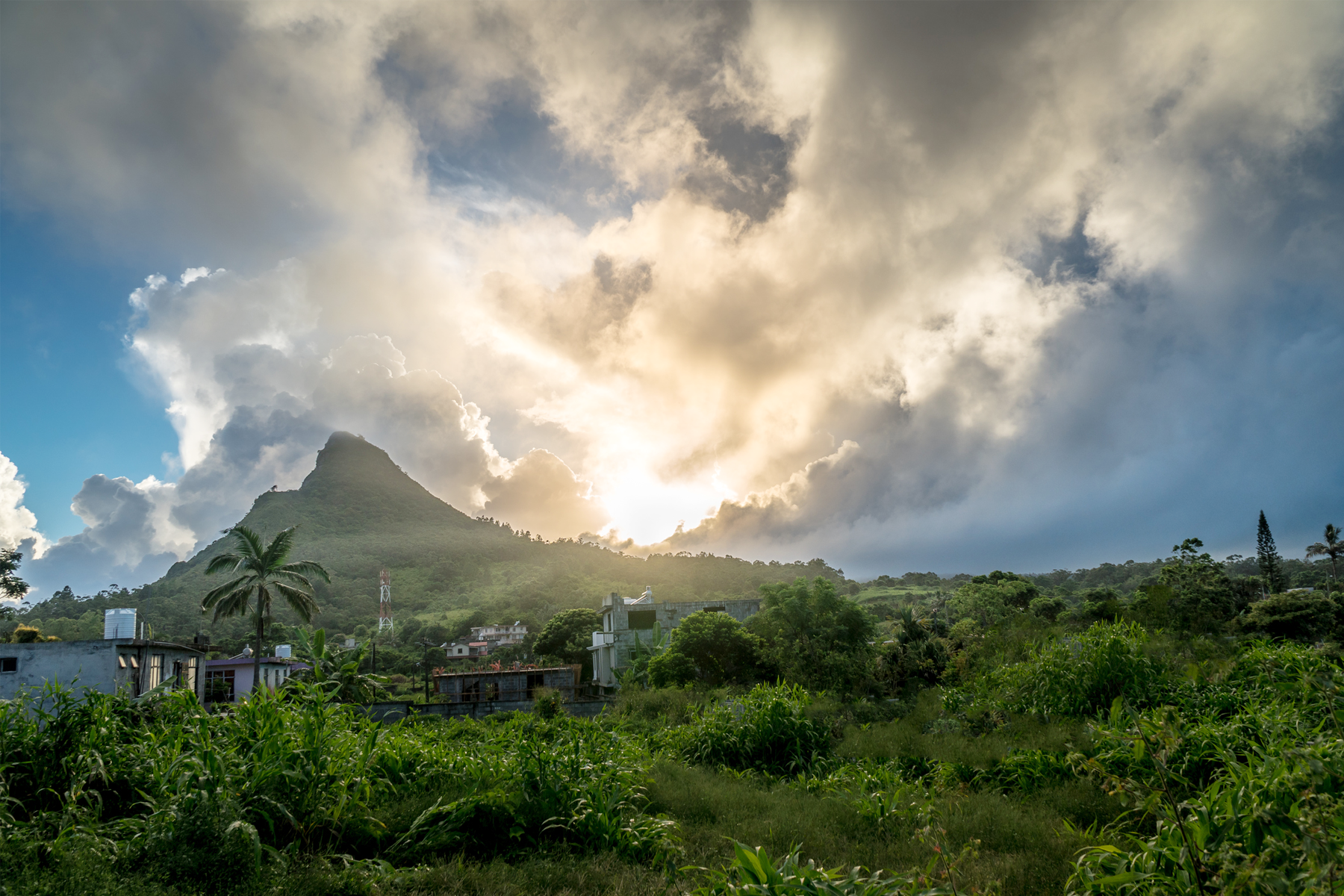 Three Business Initiatives That Advance Climate Justice  hero image