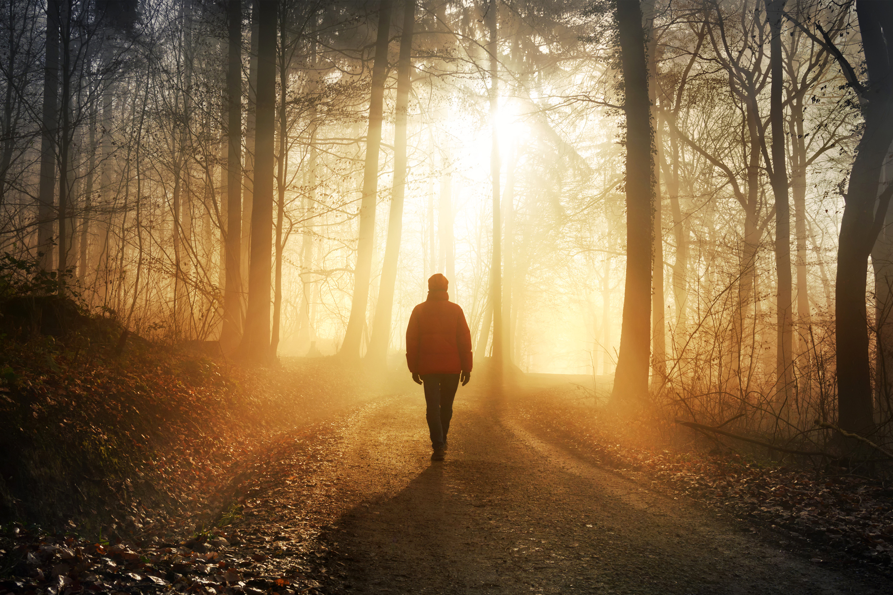 Building an Effective Supply Chain Data Ecosystem to Prevent Forced Labor hero image