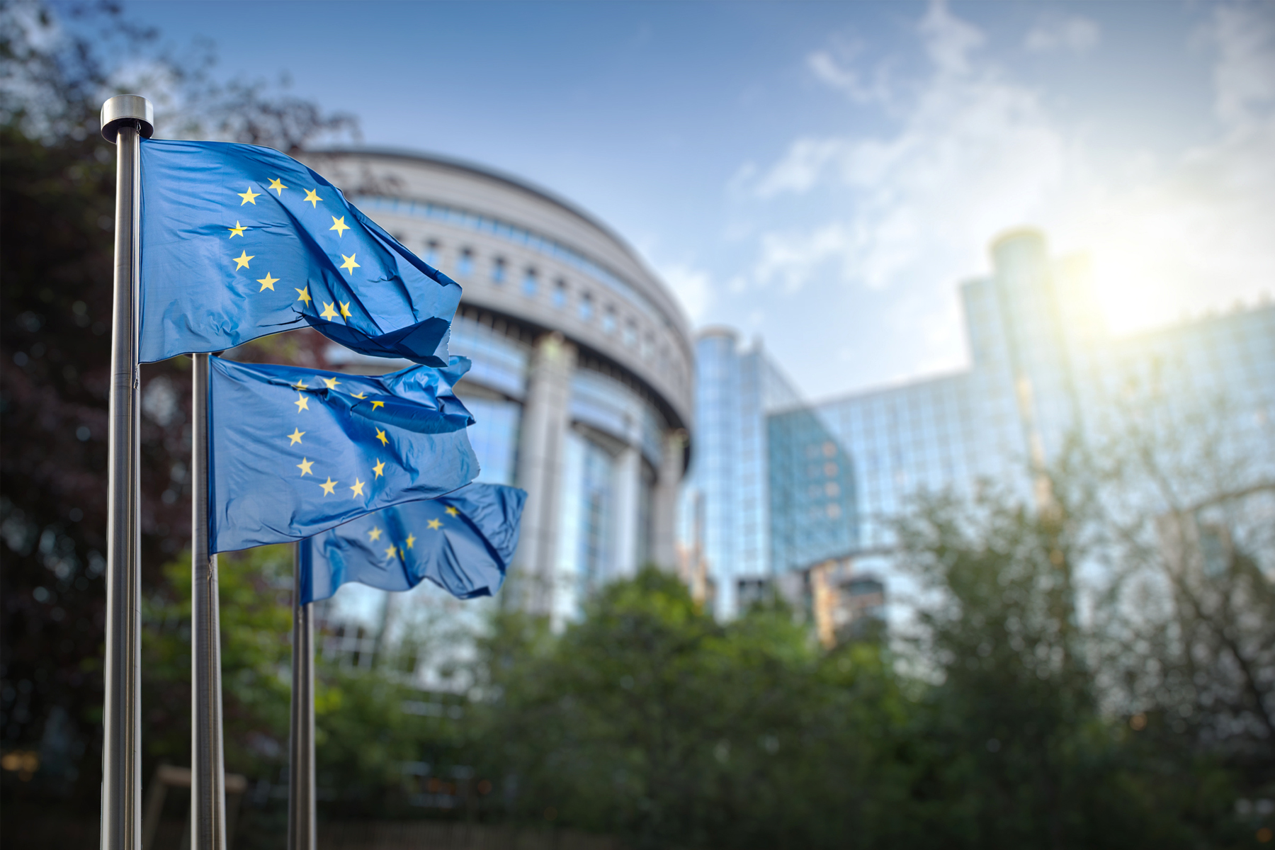 The EU AI Act: 11 Recommendations for Business hero image