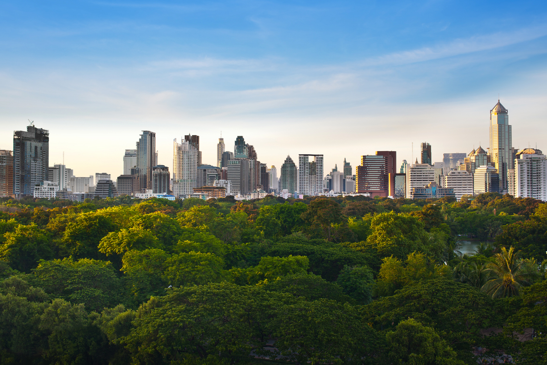 What the SBTi Battle Portends: The Decisive Decade Becomes the Dilemma Decade hero image