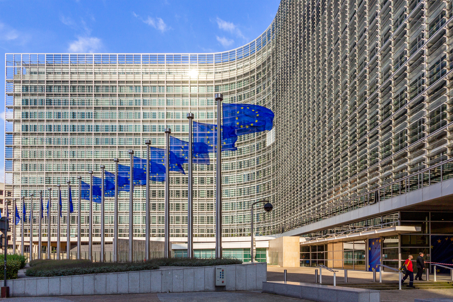 The Impact of Mandatory Sustainability Reporting on Corporate Functions hero image