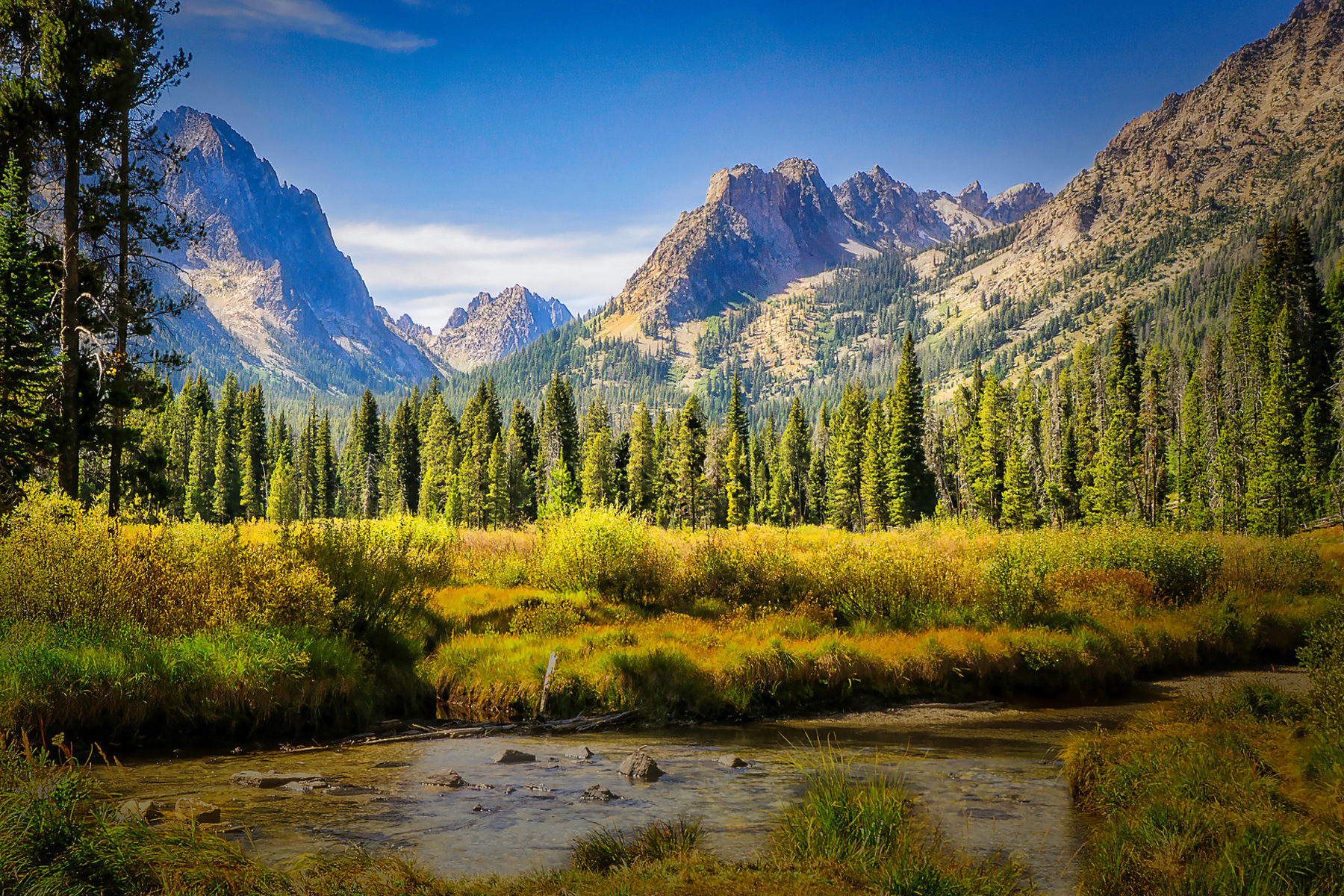 Climate and Nature Working Group hero image