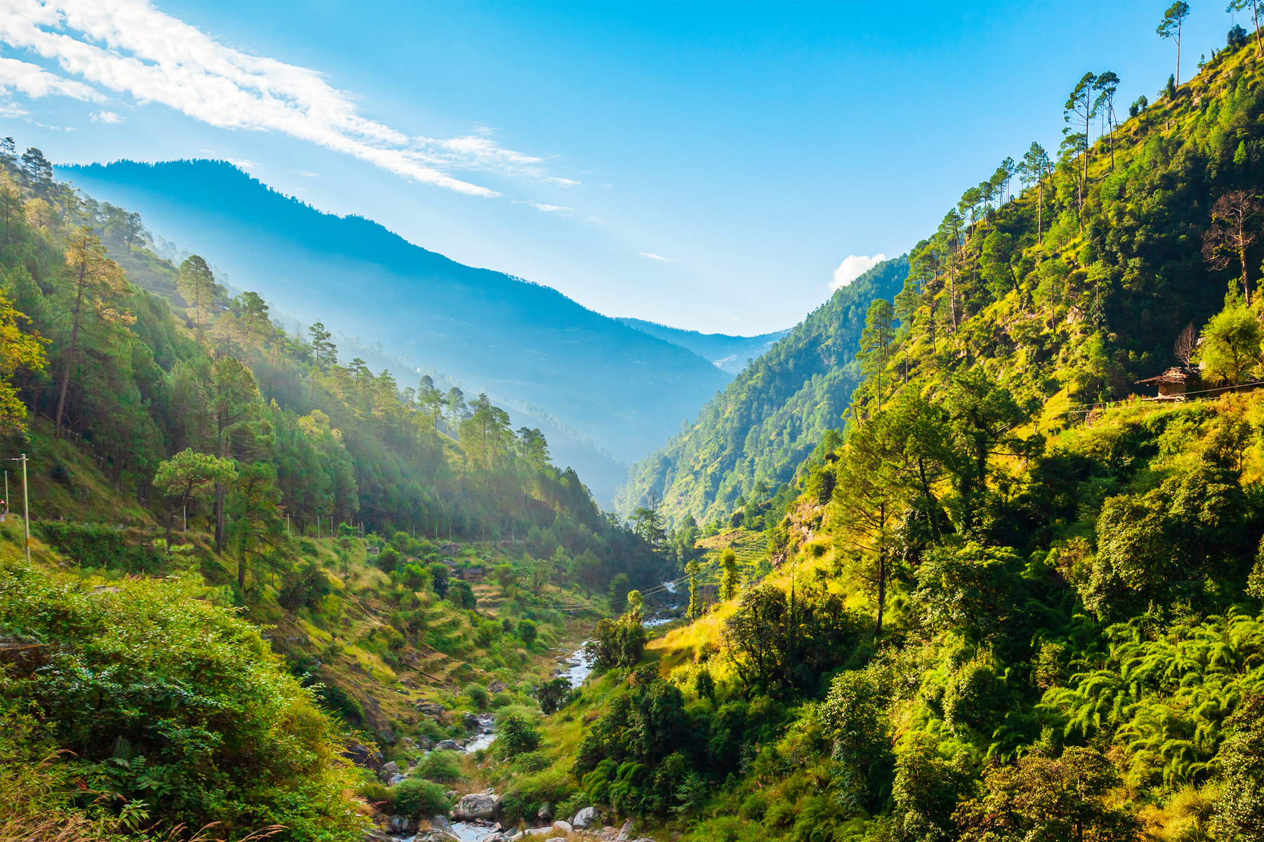 Healthy Planet, Healthy People, Thriving Businesses: Four Steps to Center Health Equity in Climate Action  hero image