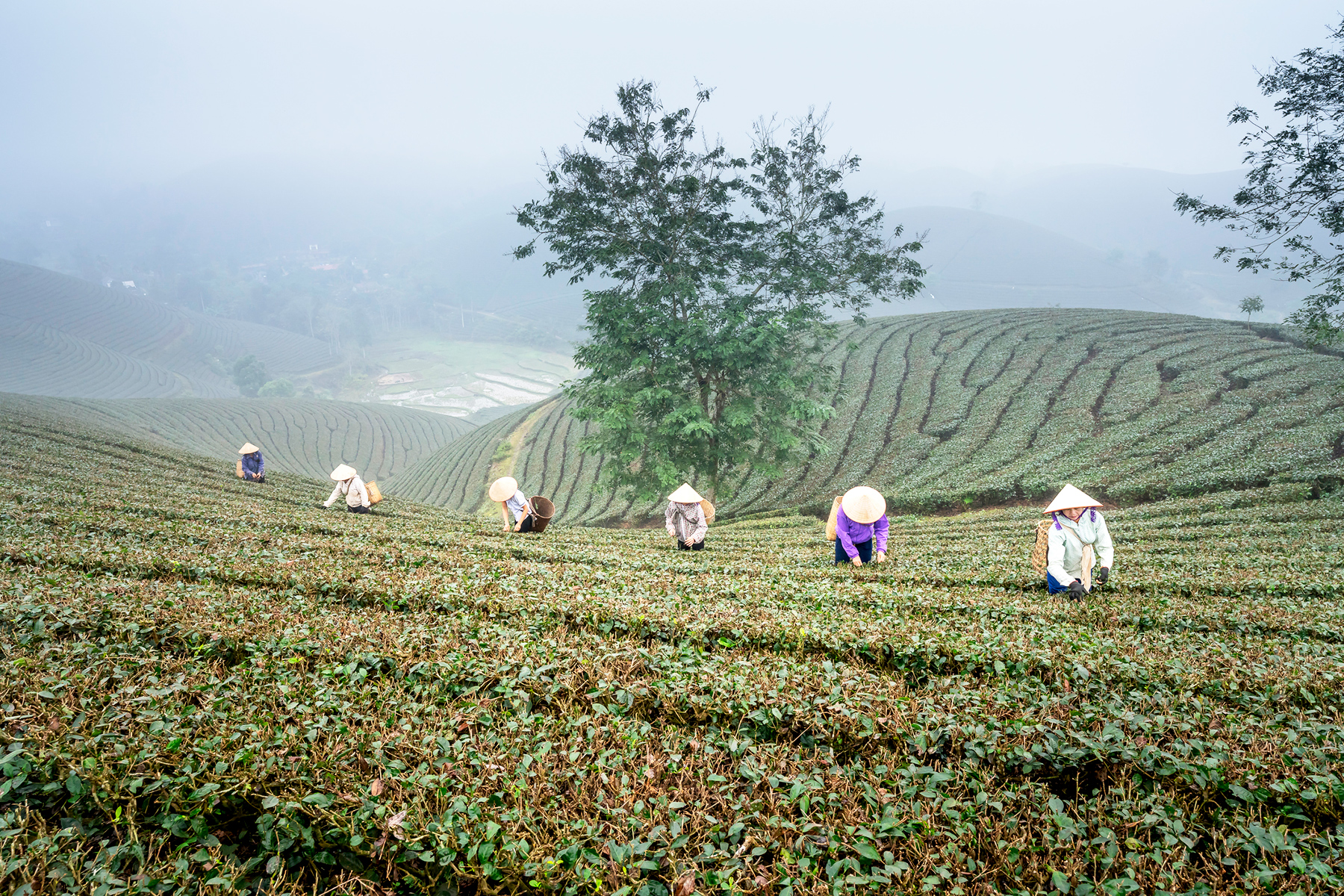 Supply Chain Sustainability Office Hours (February-April 2026) hero image