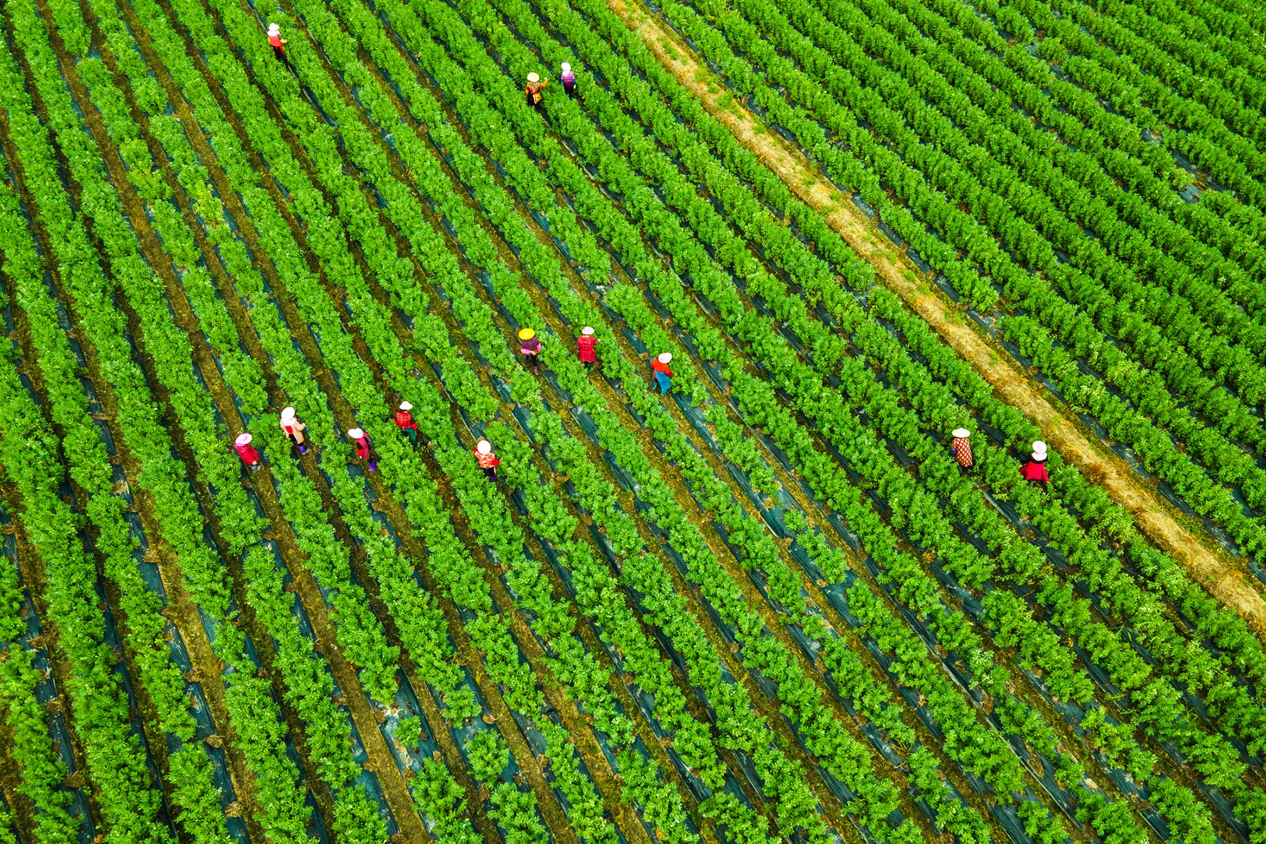 Developing Integrated Approaches to Human Rights, Climate, and Nature  hero image